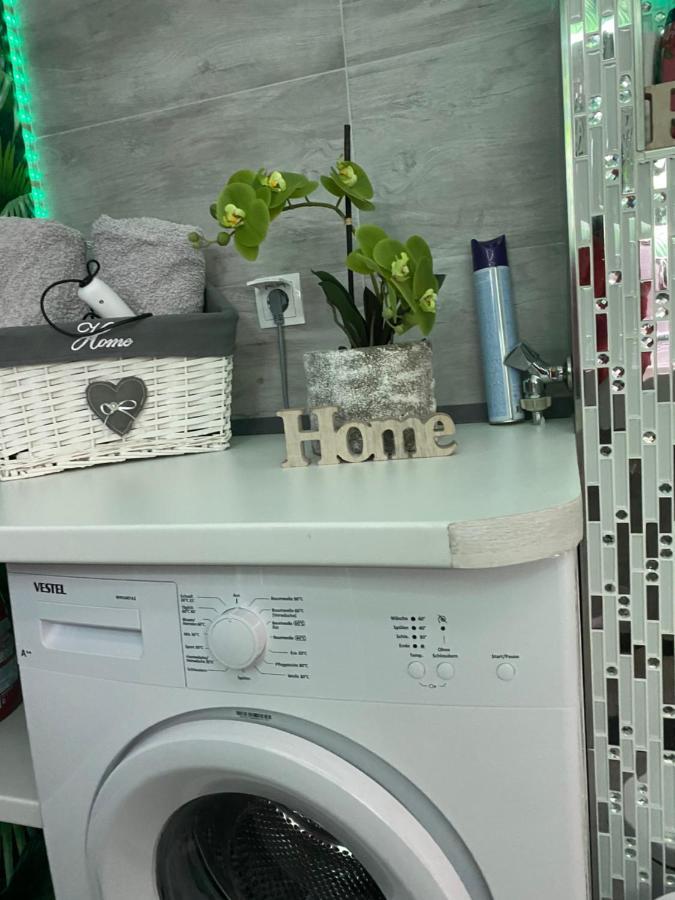 Ferienwohnung Erfurter Rose المظهر الخارجي الصورة