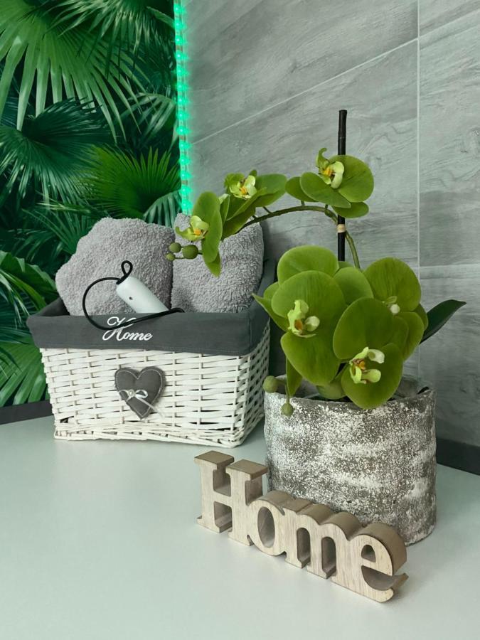 Ferienwohnung Erfurter Rose المظهر الخارجي الصورة