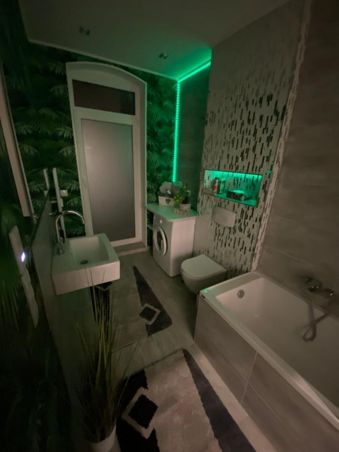 Ferienwohnung Erfurter Rose المظهر الخارجي الصورة